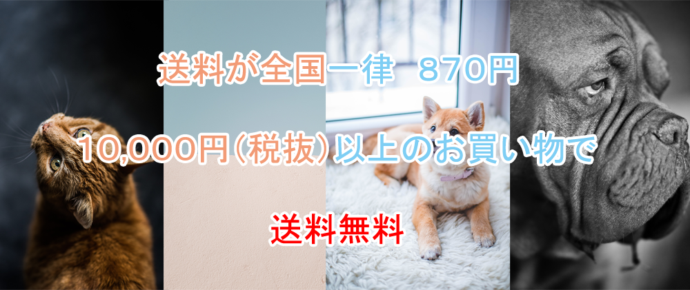 バーナートップ
